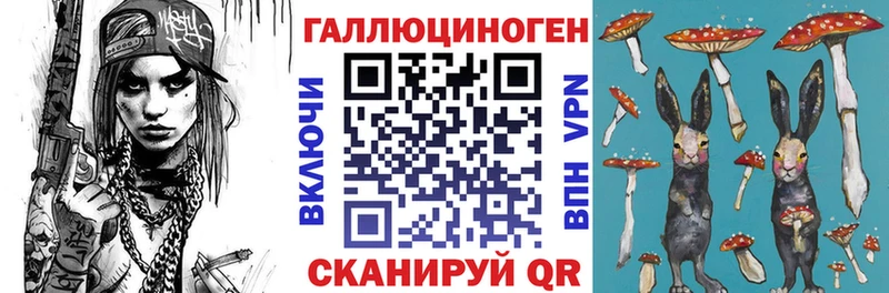 мега сайт  Елец  Галлюциногенные грибы Psilocybine cubensis  купить наркотики цена 